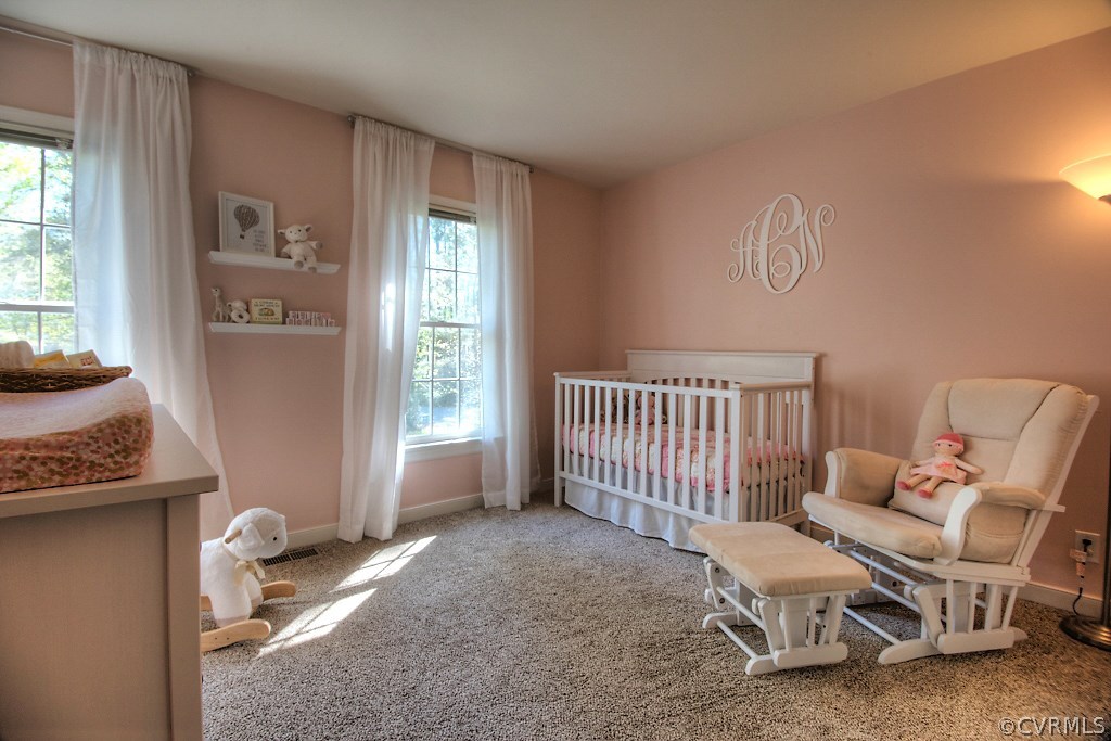 14108 Huntgate Woods Road Midlothian, VA 23112 - Photo 31 of 48 Gallery Image 31