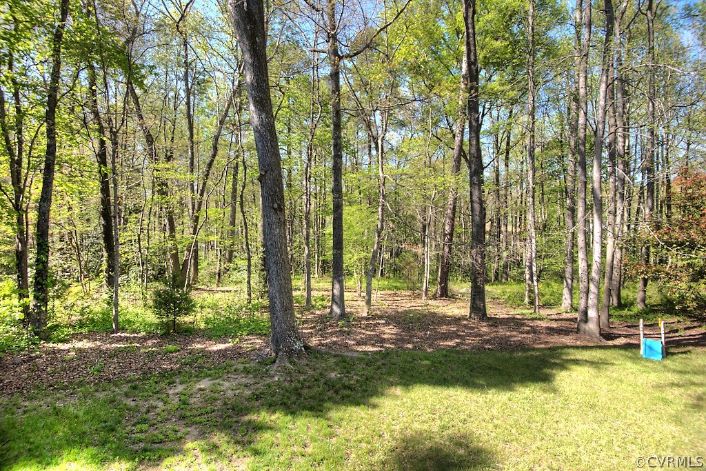 14108 Huntgate Woods Road Midlothian, VA 23112 - Photo 46 of 48 Gallery Image 46
