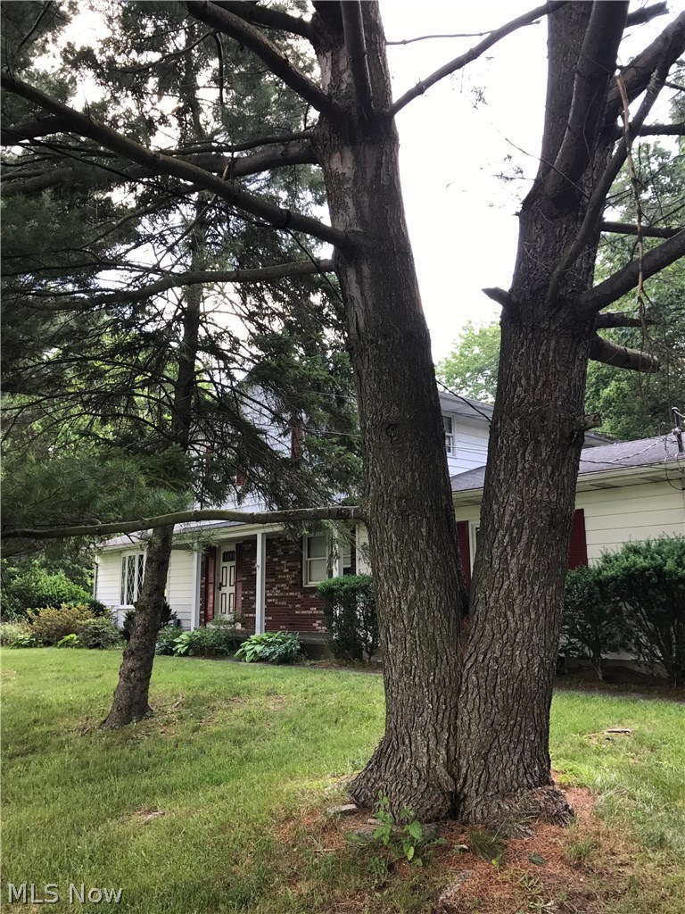 11545 West Ridge Road Elyria, OH 44035 - Photo 14 of 25 Gallery Image 14