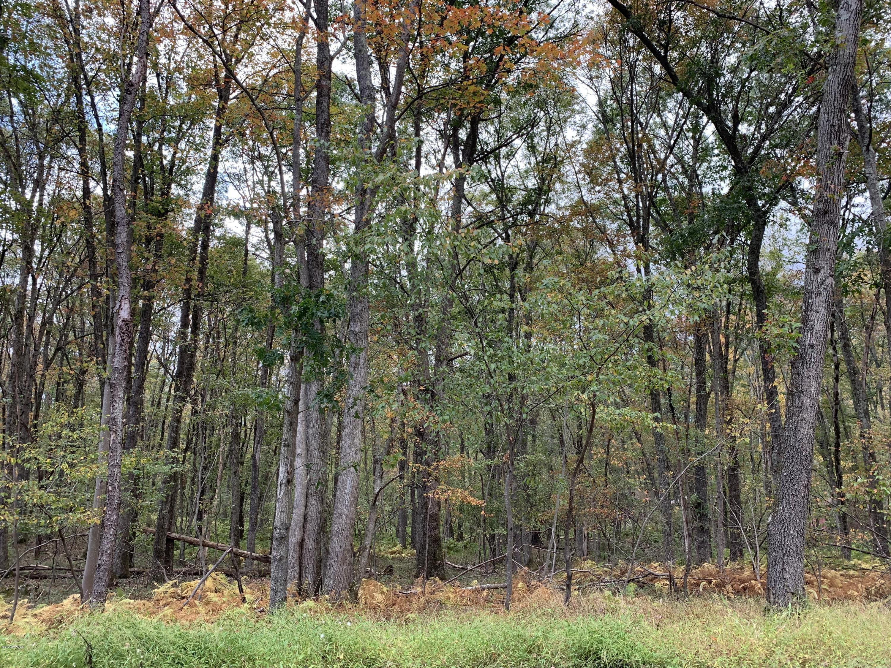 218 Springbrook Road Shohola, PA 18458 - Photo 19 of 19 Gorgeous Scenery