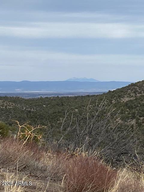 19055 Butte Pass Road, Unit 128 Prescott, AZ 86305 - Photo 10 of 13