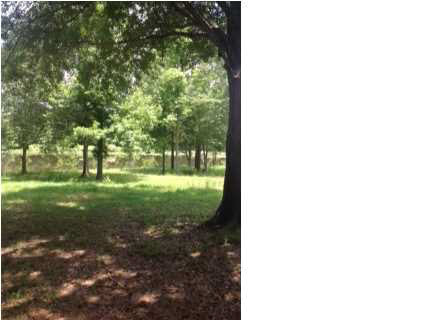 2260 Ratliff Road Raymond, MS 39154 - Photo 3 of 3 Photo 3