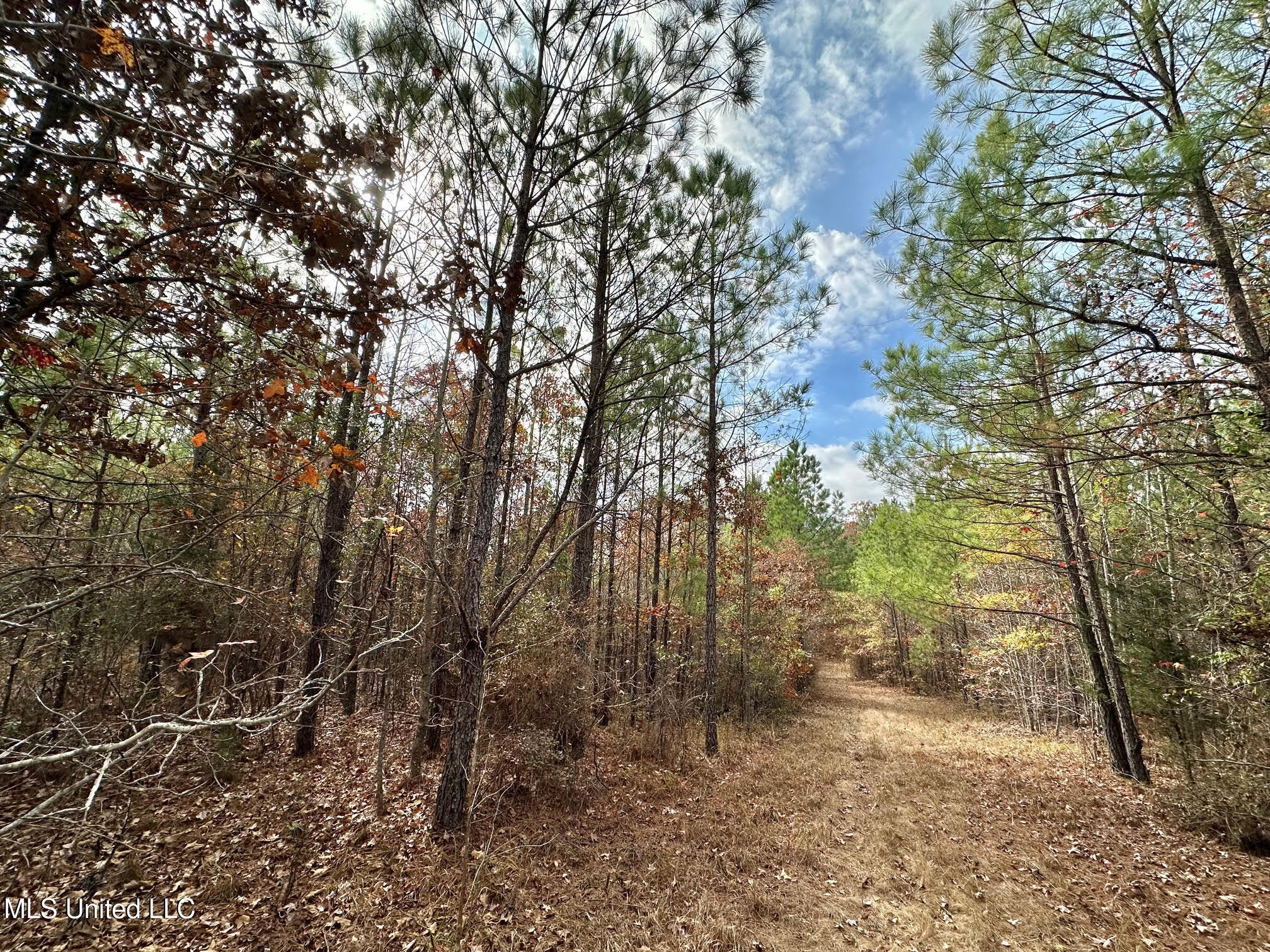 2 County Road 3122 French Camp, MS 39745 - Photo 6 of 14 10