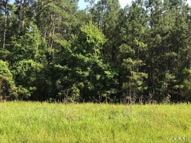 1146 Drummonds Point Road Edenton, NC 27932 - Photo 1 of 5 Main View