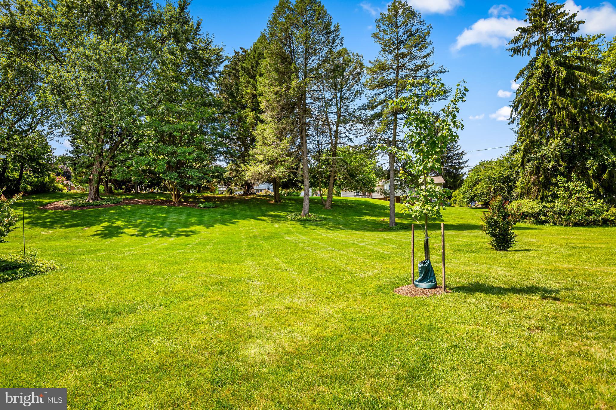 5 Buckley Court Towson, MD 21286 - Photo 46 of 48 6/10 of an acre (.59)