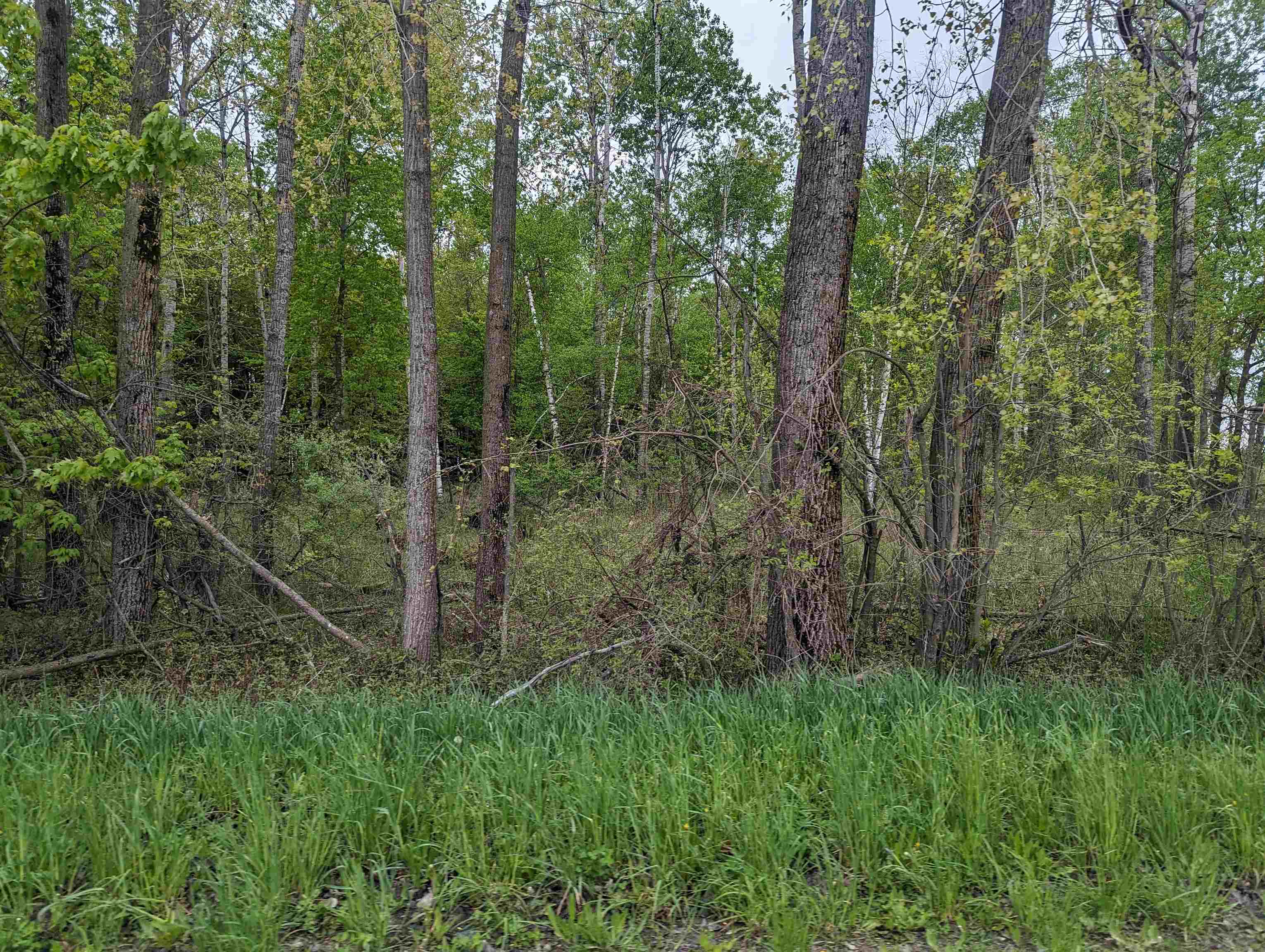 N/a Lentner Road Turner, MI 48765 - Photo 6 of 10 1922242-279d480b-5db9-4330-a4ba-75f299da8e2b.JPG
