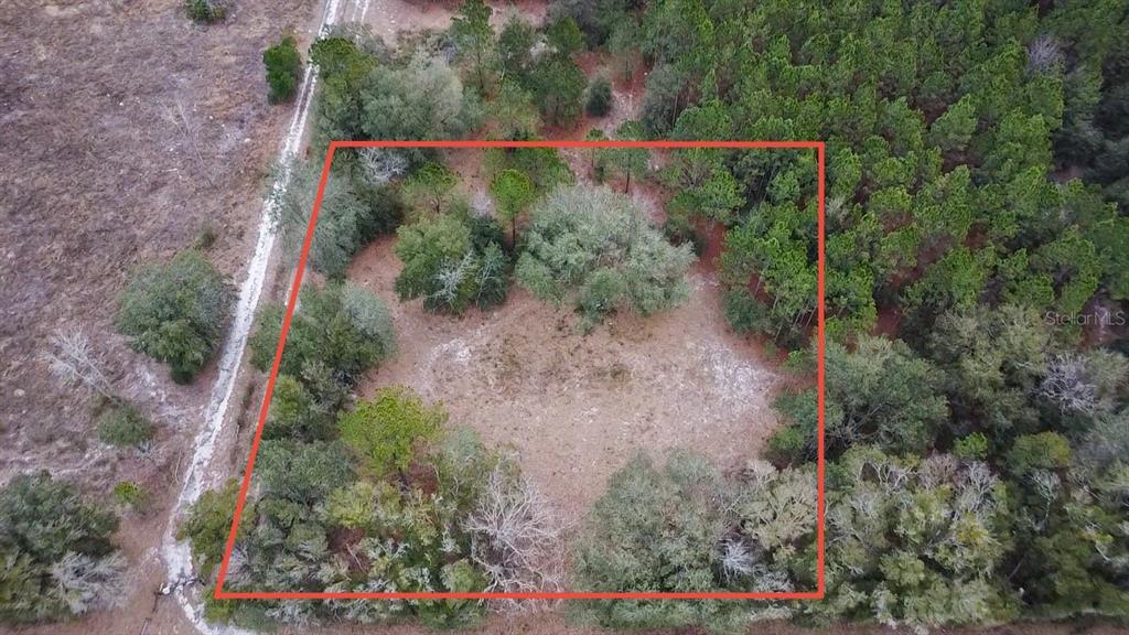 14109 Southwest 134th Avenue Archer, FL 32618 - Photo 2 of 5 a view of a forest with a houses