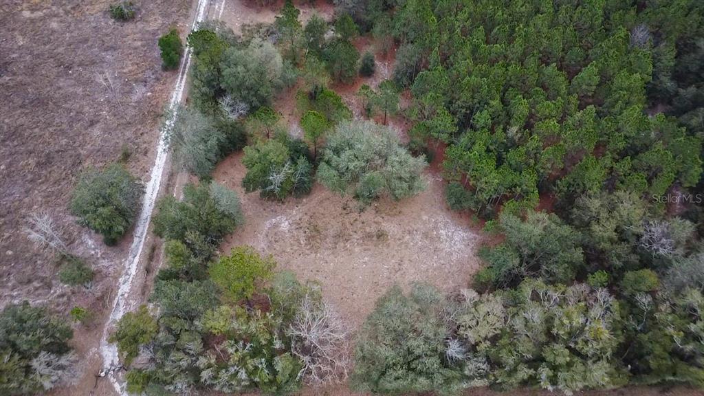 14109 Southwest 134th Avenue Archer, FL 32618 - Photo 3 of 5 an aerial view of residential house with outdoor space and trees all around