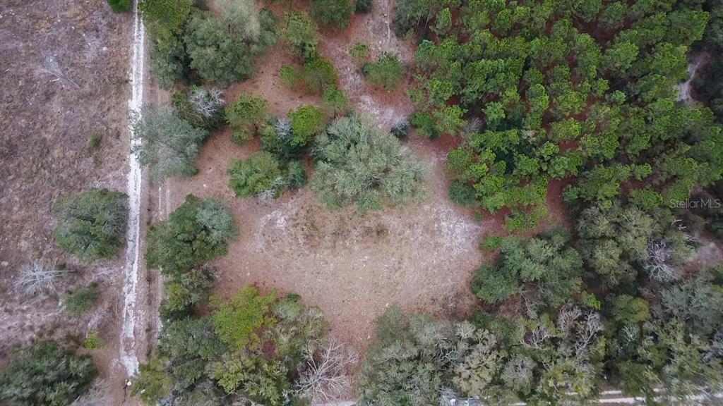 14109 Southwest 134th Avenue Archer, FL 32618 - Photo 4 of 5 an aerial view of residential house with outdoor space
