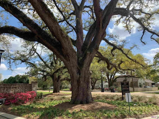 $295,000 | 7234 Goodleaf Way, Baton Rouge, LA 70806