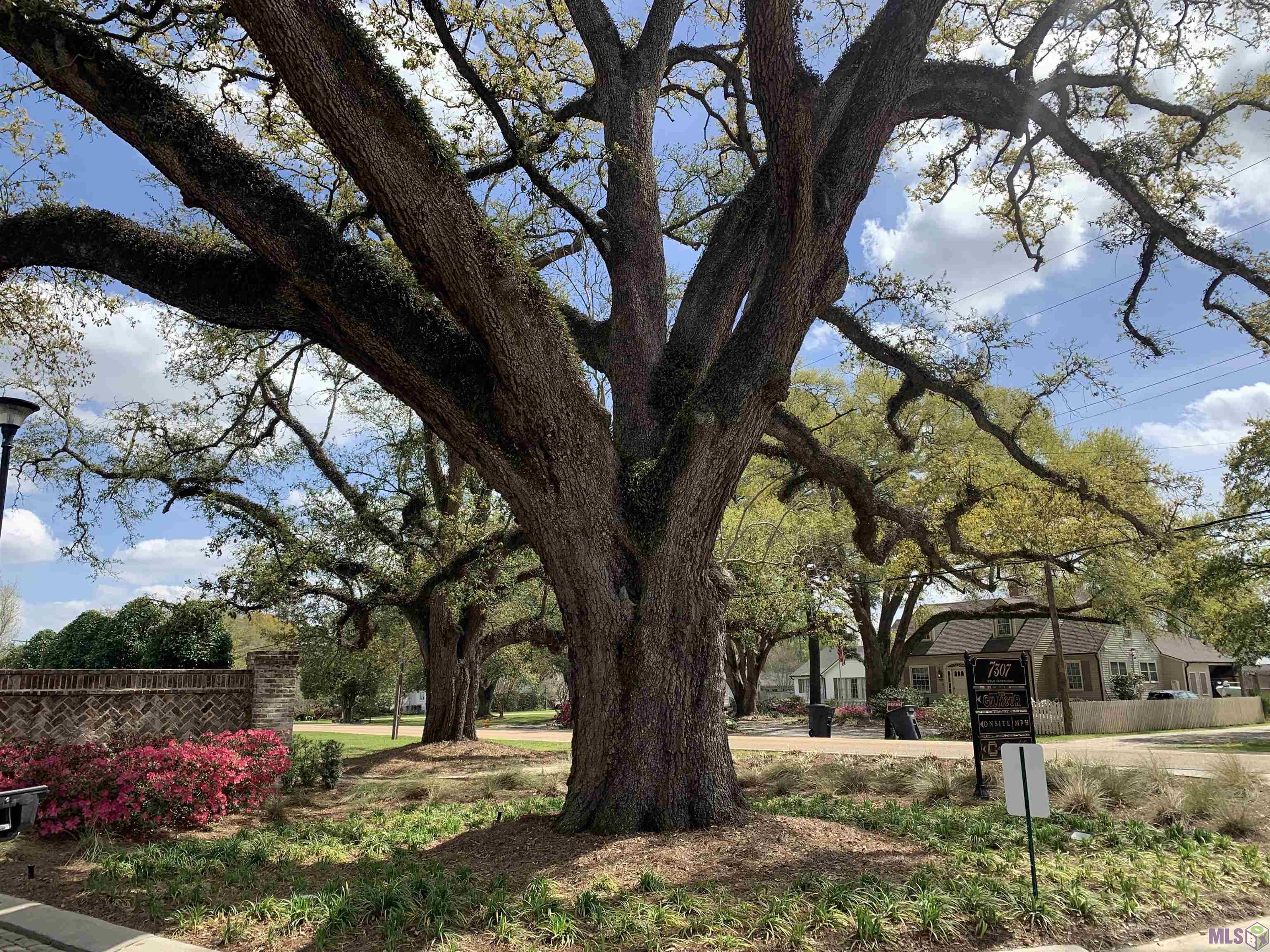 7234 Goodleaf Way Baton Rouge, LA 70806 - Photo 3 of 3