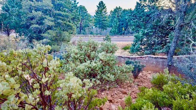 a view of a garden with a house