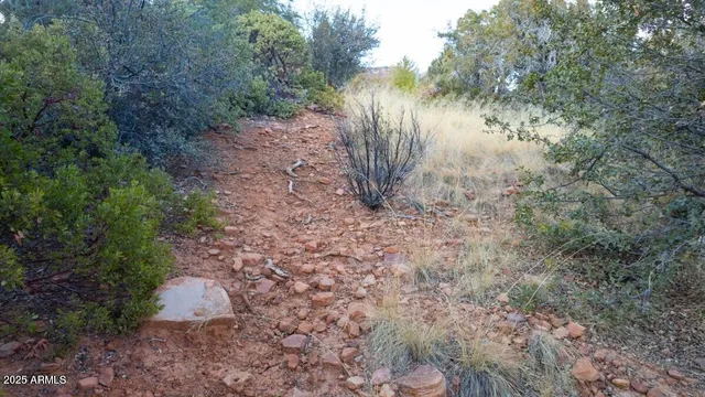 a view of a yard with wooden fence