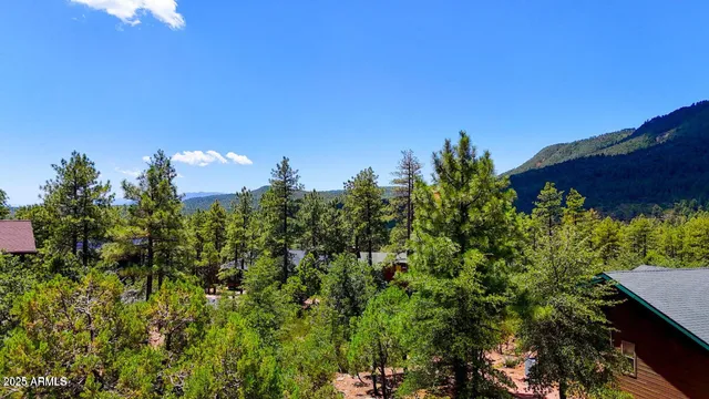 a view of a bunch of trees in a field