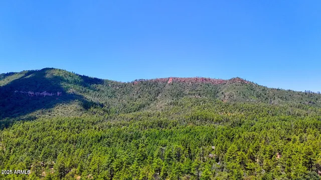 a view of a dry yard with mountains in the background
