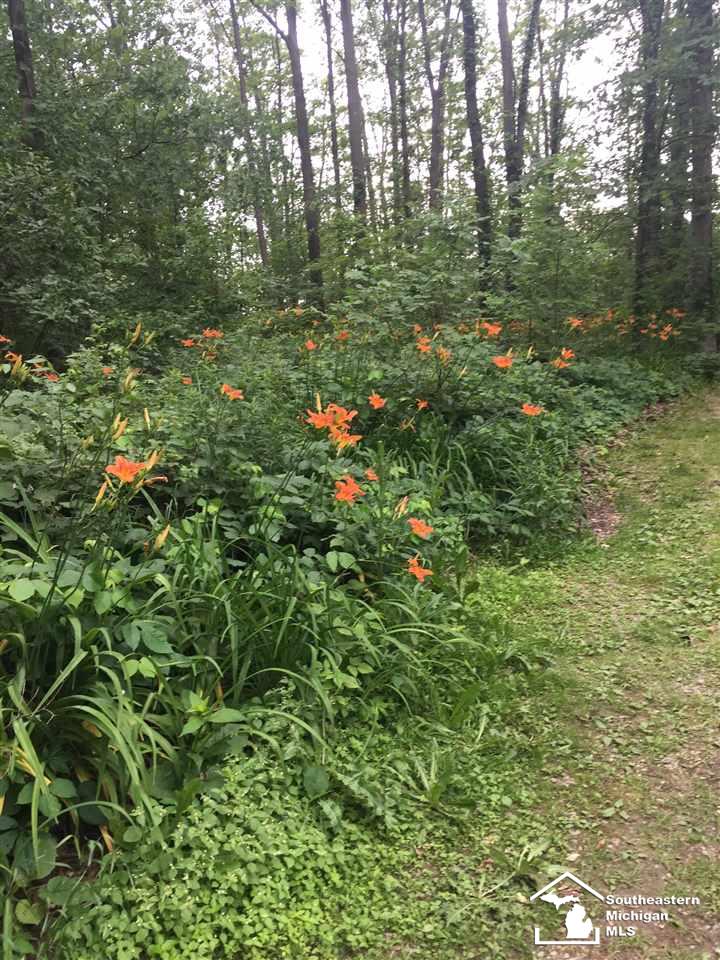 9290 Doty Road Maybee, MI 48159 - Photo 41 of 71