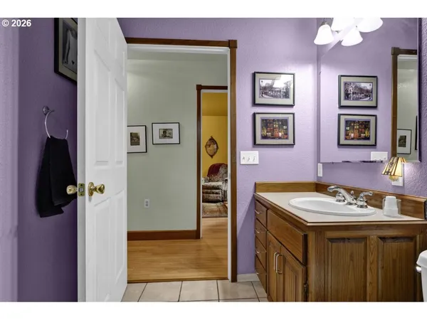 a bathroom with a sink vanity and a mirror