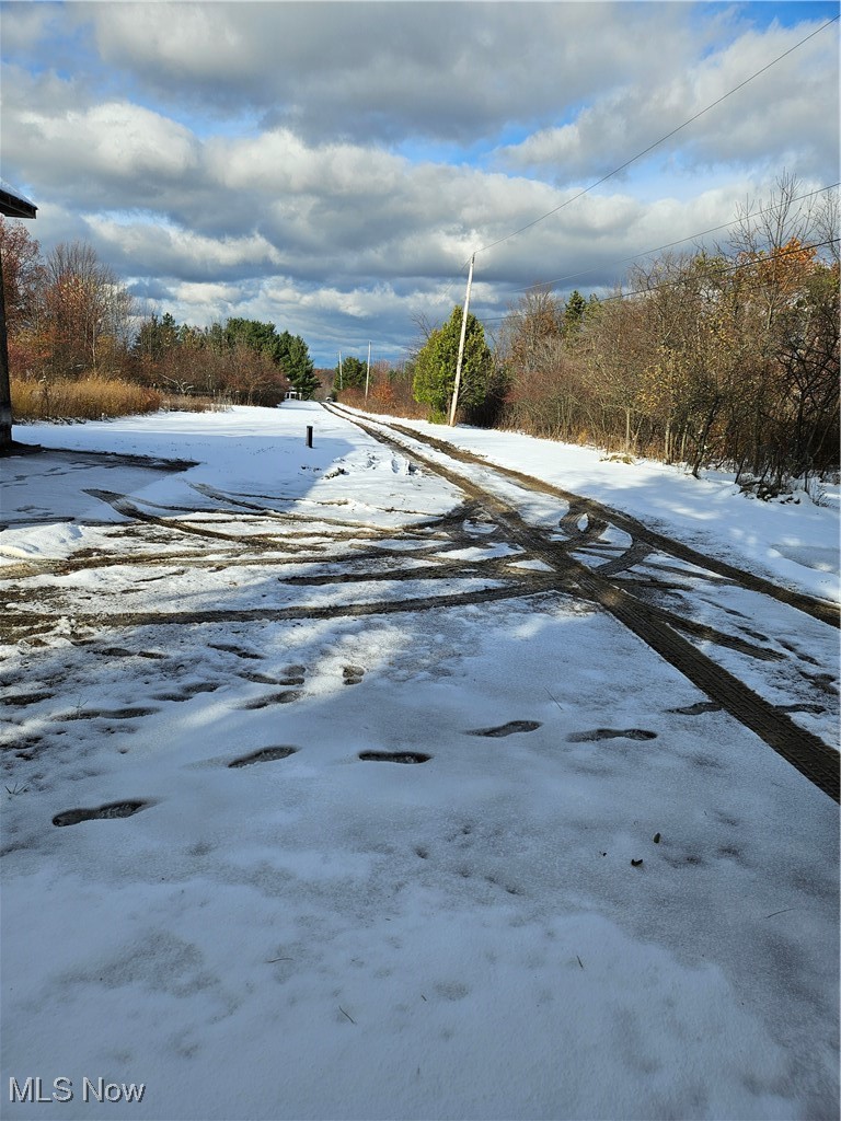 6042 Ford Road Madison, OH 44057 - Photo 25 of 25 Driveway
