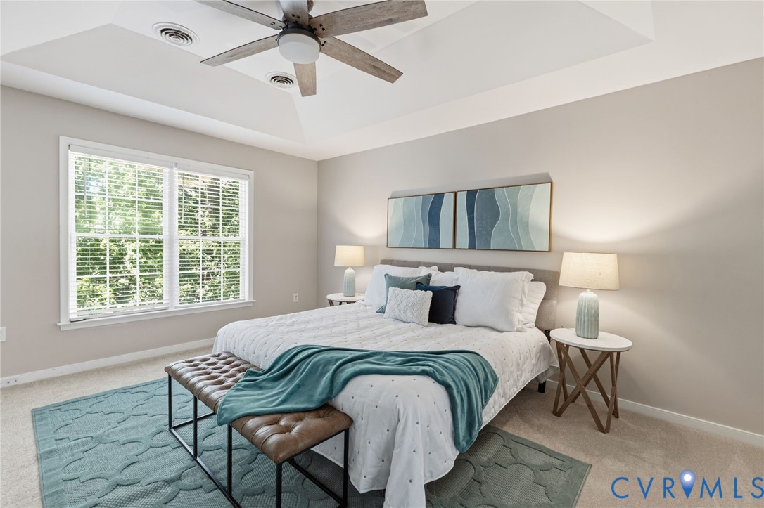 15919 Hampton Summit Drive Chesterfield, VA 23832 - Photo 22 of 42 Tray ceiling