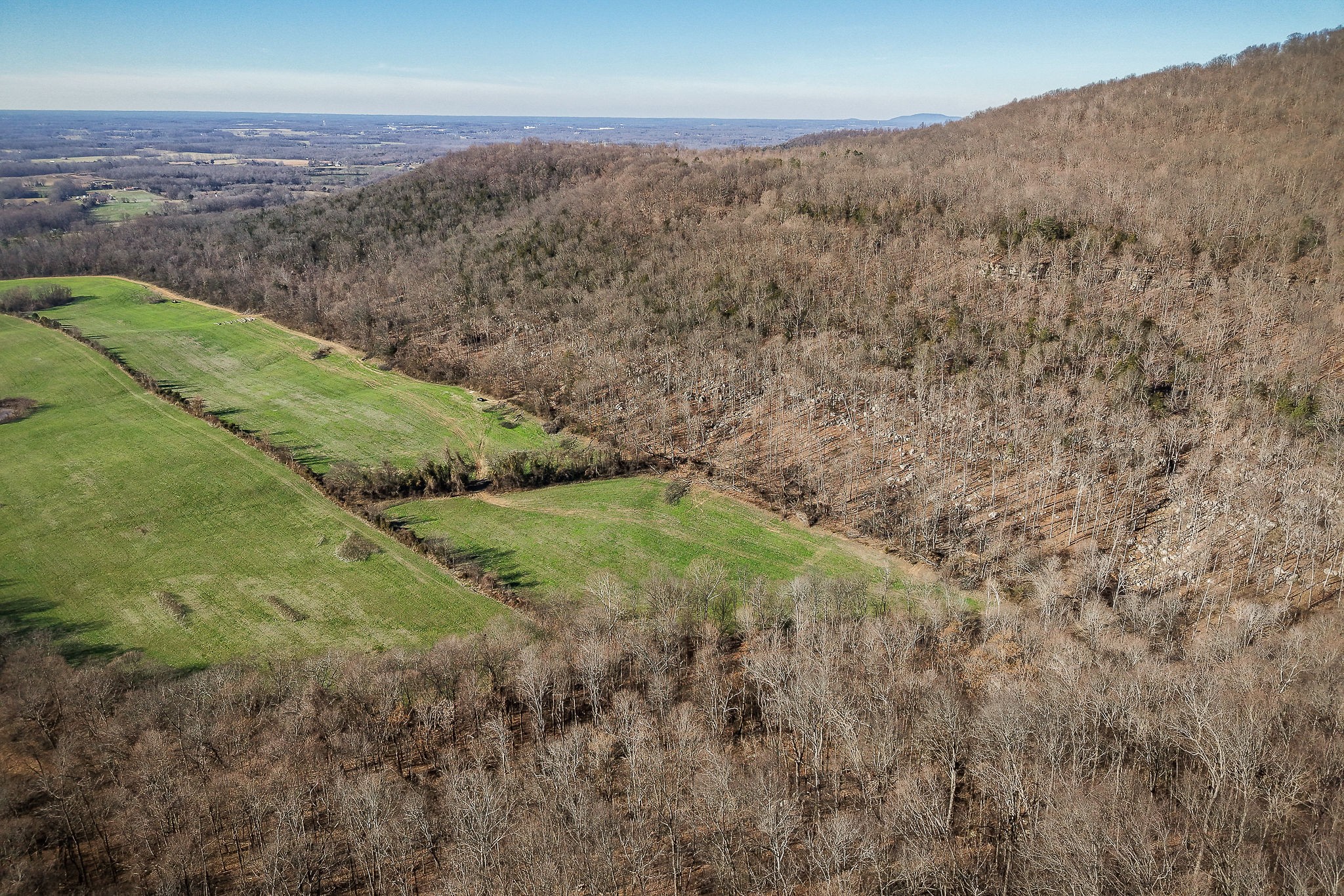 505 Thaxton Road McMinnville, TN 37110 - Photo 10 of 31 a view of a field with an ocean
