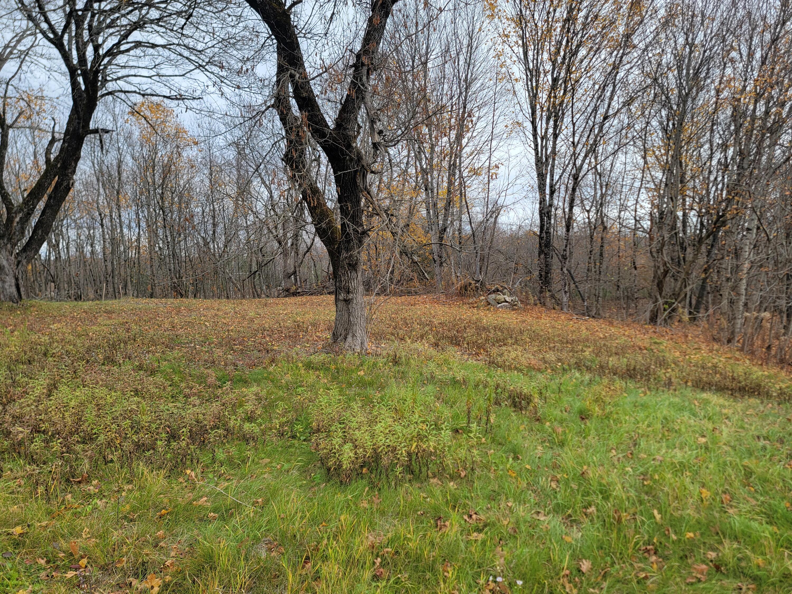 362 Main Street Baileyville, ME 04694 - Photo 5 of 7 1000021247