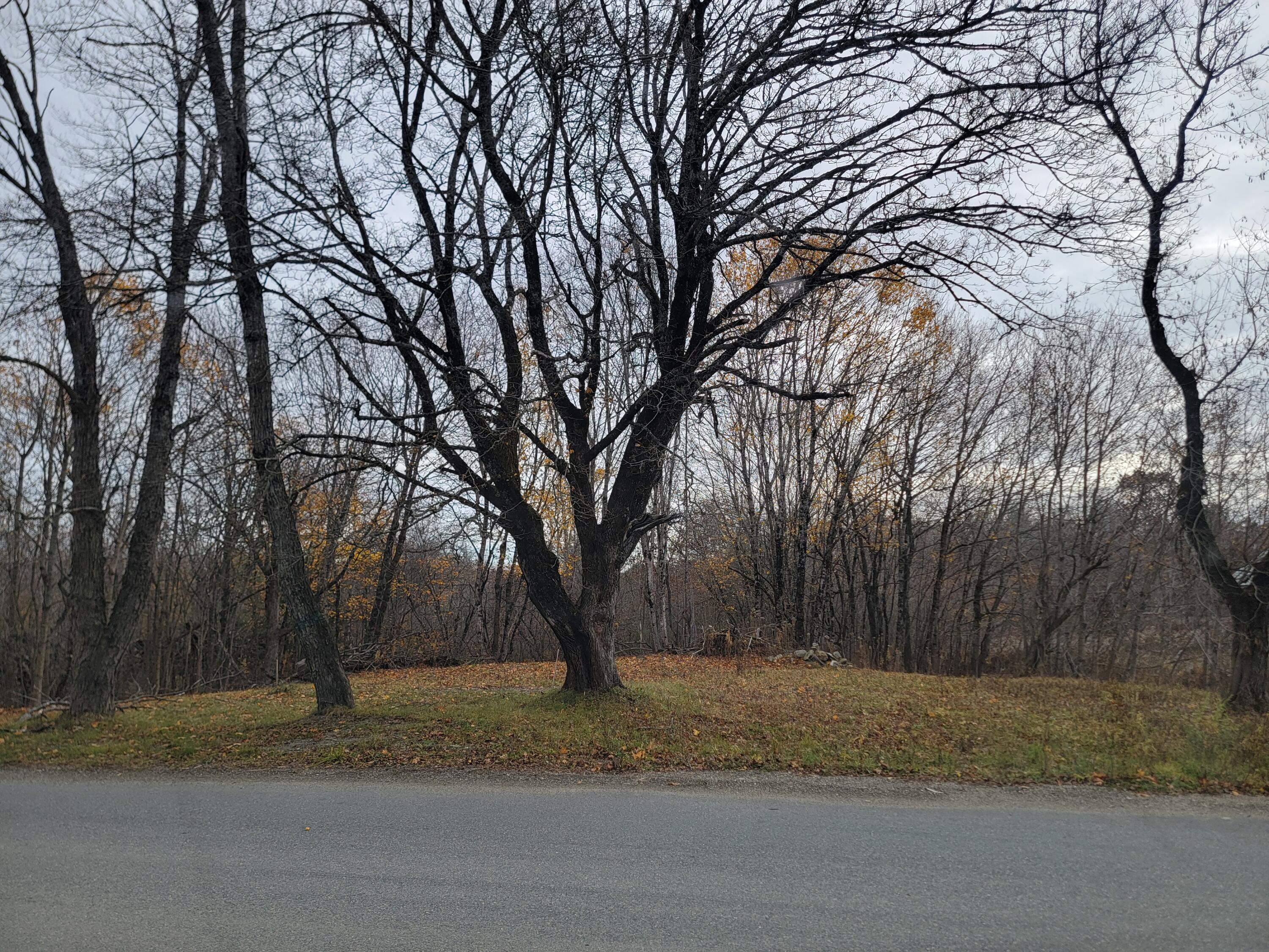 362 Main Street Baileyville, ME 04694 - Photo 6 of 7 1000021244