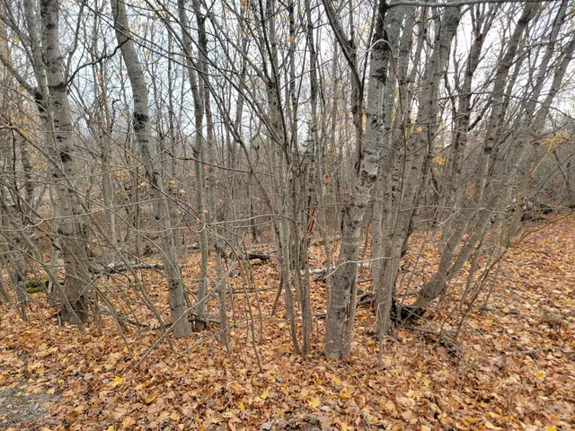 $20,200 | 362 Main Street, Baileyville, ME 04694