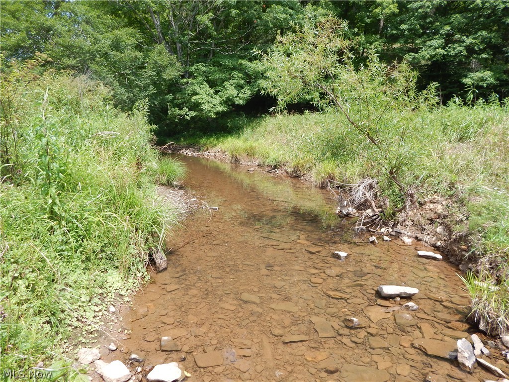 53 Two Mile Road Brohard, WV 26138 - Photo 31 of 31