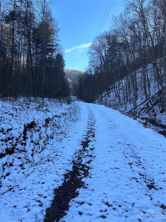 #### Board Tree Road Marshall, NC 28753 - Photo 12 of 12 Gallery Image 12