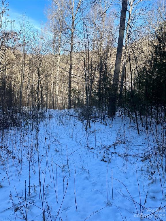#### Board Tree Road Marshall, NC 28753 - Photo 2 of 12 Gallery Image 2