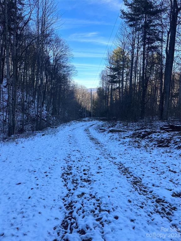#### Board Tree Road Marshall, NC 28753 - Photo 4 of 12 Gallery Image 4