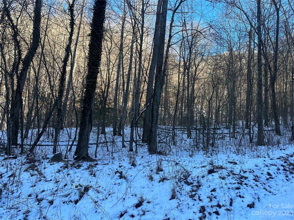 #### Board Tree Road Marshall, NC 28753 - Photo 5 of 12 Gallery Image 5