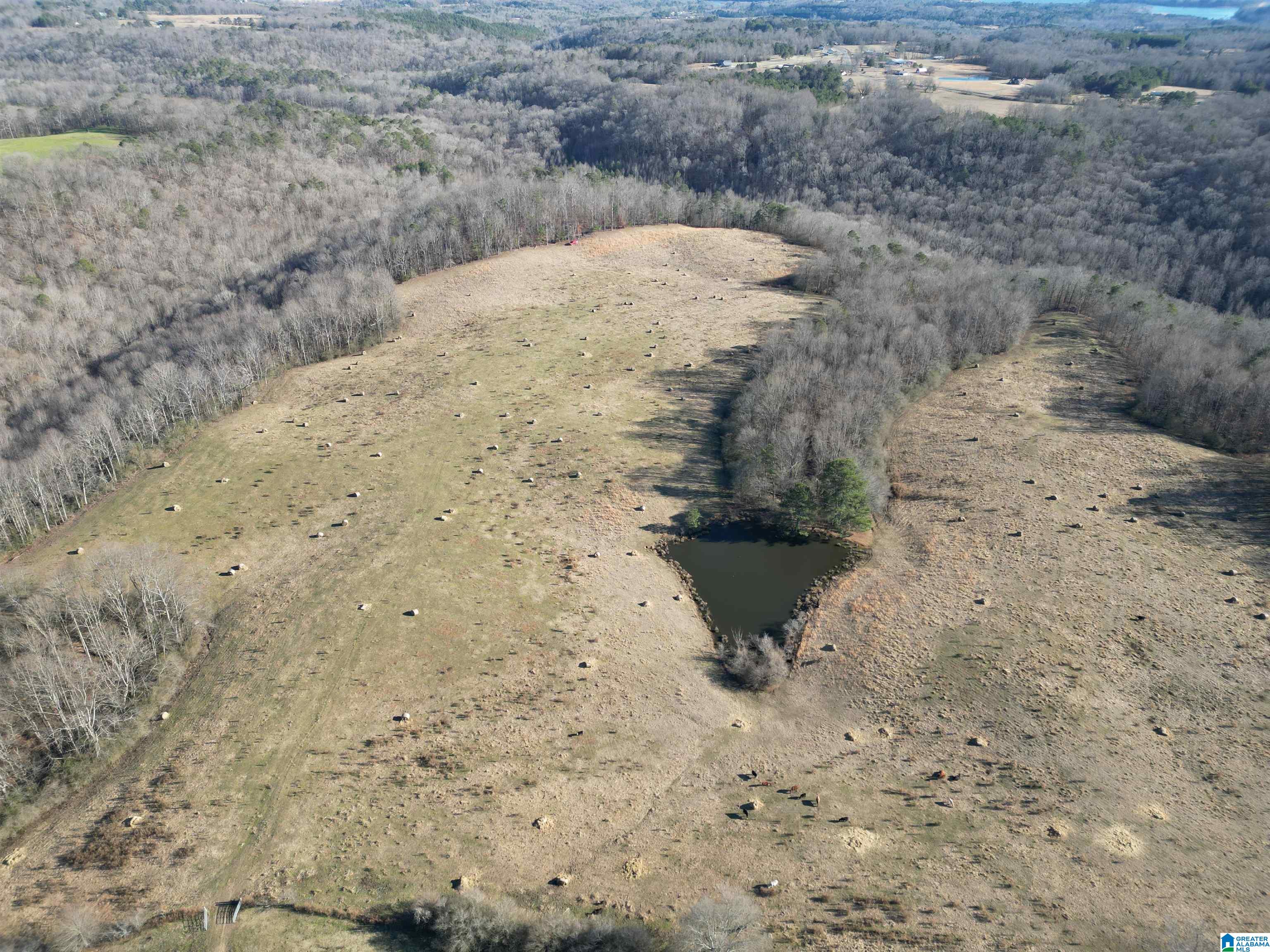 682 County Road 832 Logan, AL 35098 - Photo 21 of 48