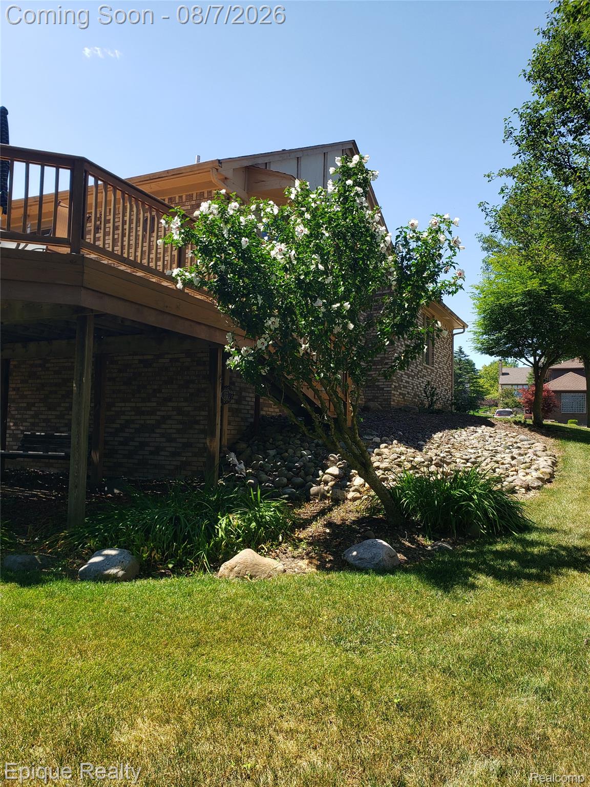 1162 Grandview Drive Rochester, MI 48306 - Photo 28 of 34 ROSE OF SHARON