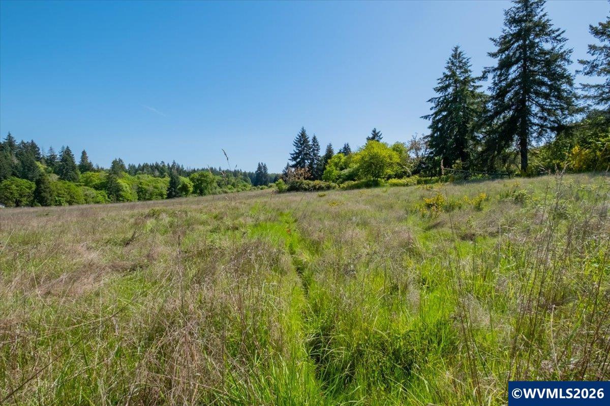 201552 Orchard Tract Road Monroe, OR 97456 - Photo 15 of 19