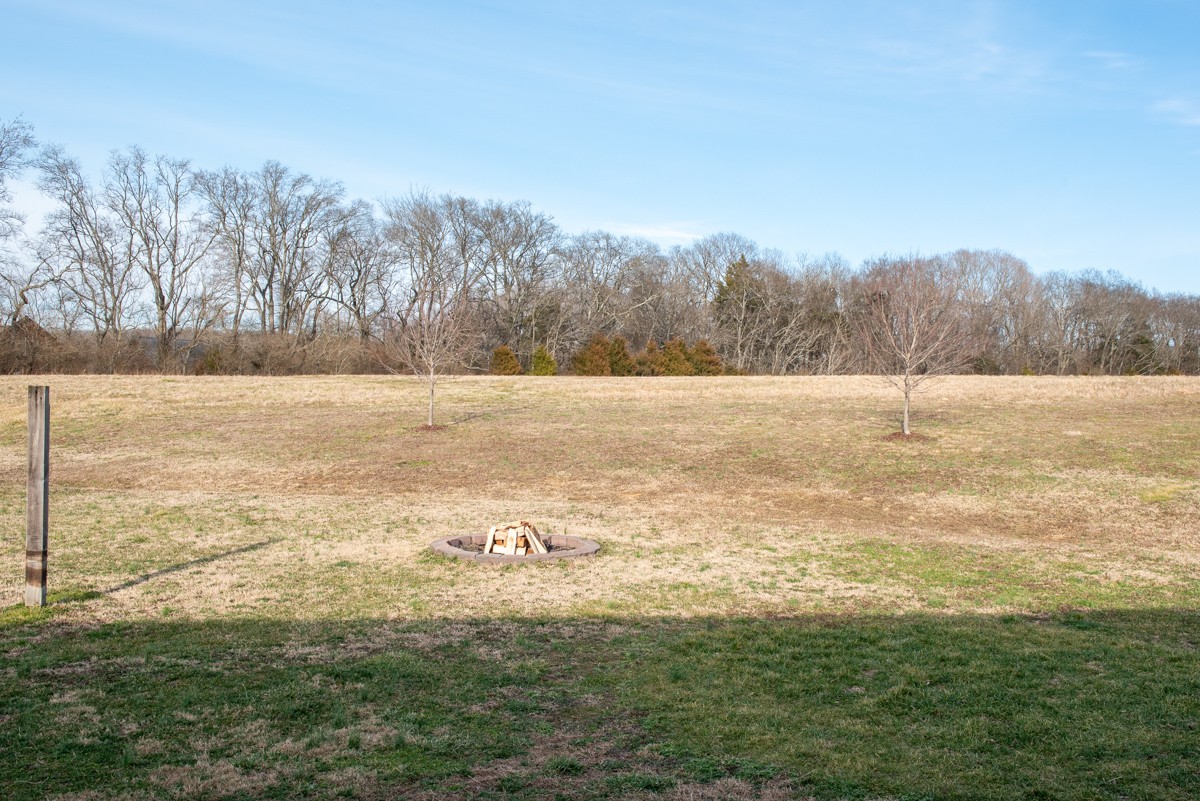 6530 Cox Road College Grove, TN 37046 - Photo 17 of 22 Private back yard with fire pit