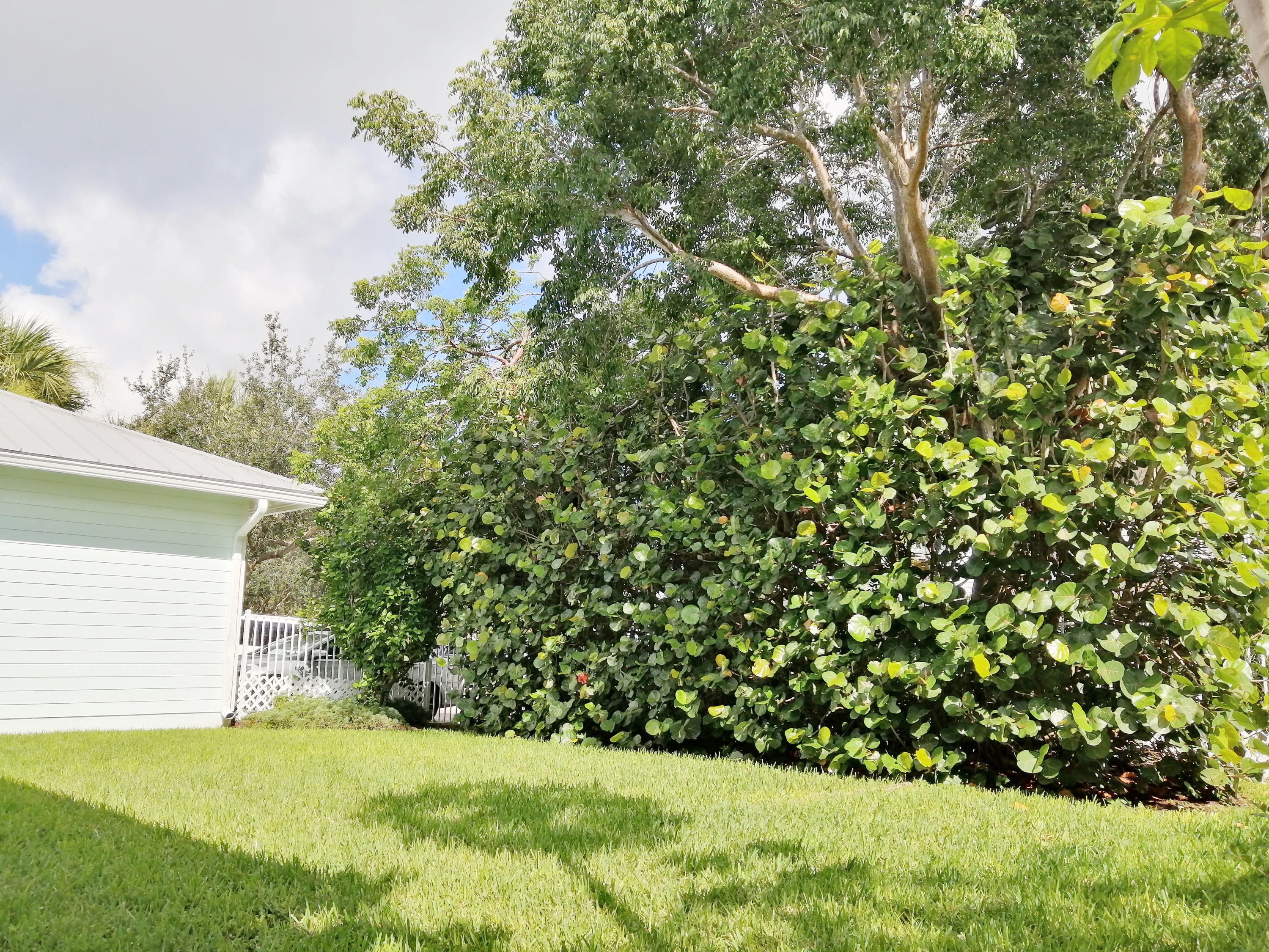 1429 Windley Key Way Jupiter, FL 33458 - Photo 20 of 22 07-2Back Yard