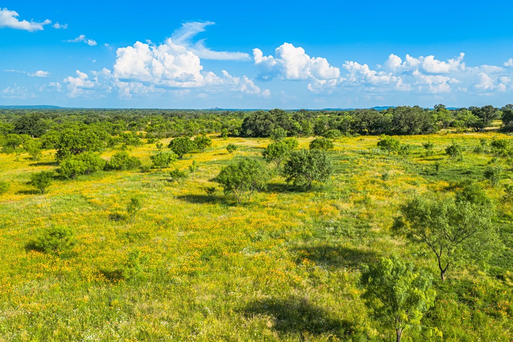 0 County Road Llano, TX 78643 - Photo 3 of 45