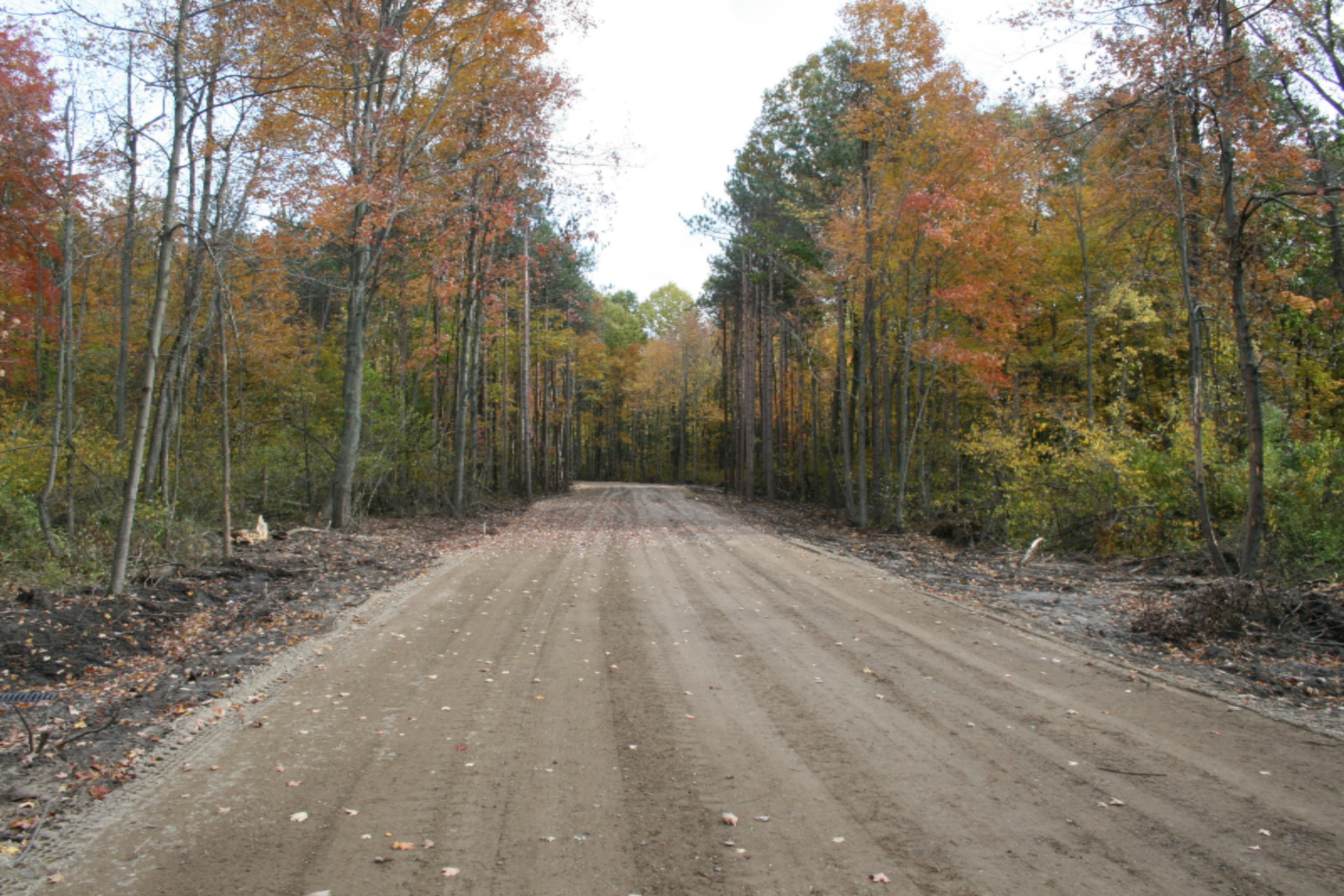 7 Pine Ridge Road Hamilton, MI 49419 - Photo 12 of 12 IMG_6630
