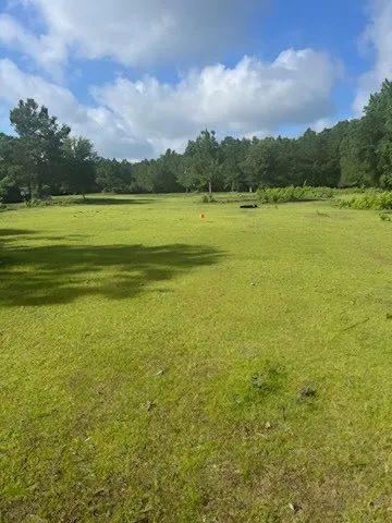 a view of a lake with houses in the background