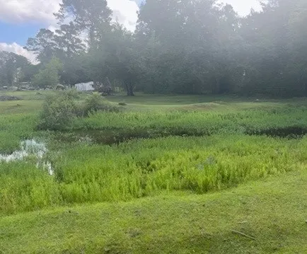a view of a big yard with lots of green space and mountain view in back