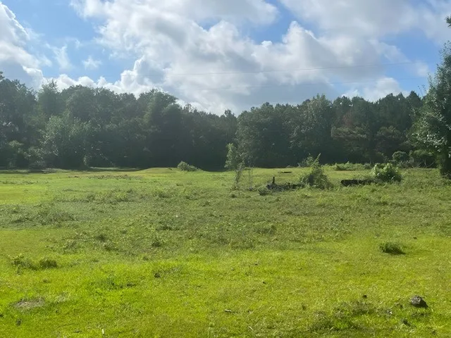 a view of outdoor space and yard