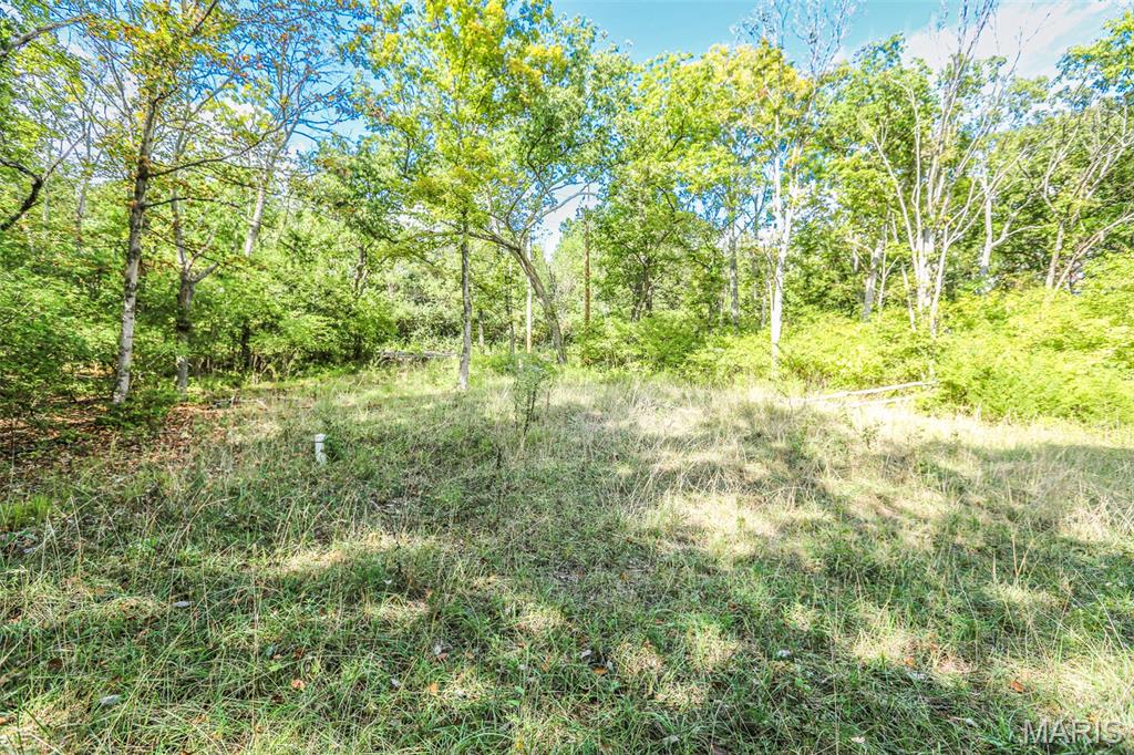 6302 Upper Byrnes Mill Road Byrnes Mill, MO 63051 - Photo 11 of 14