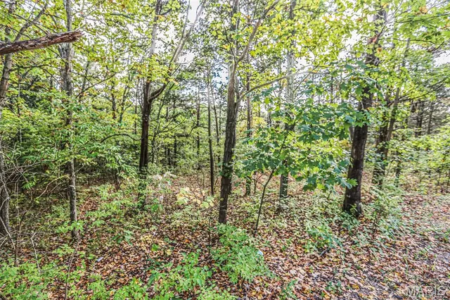 $150,000 | 6302 Upper Byrnes Mill Road, Byrnes Mill, MO 63051