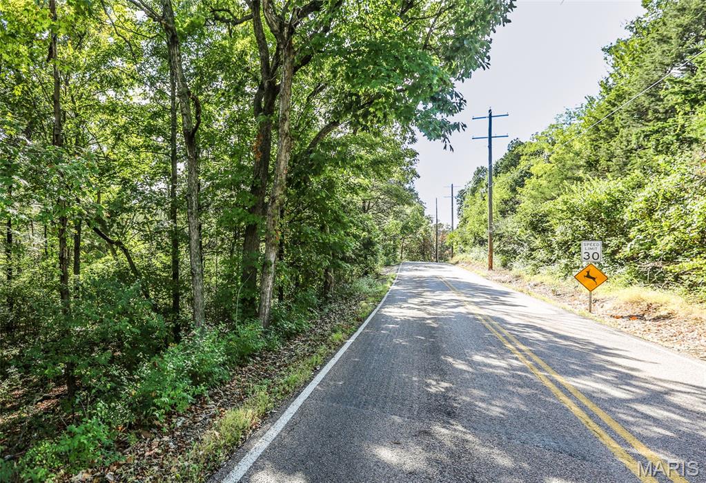 6302 Upper Byrnes Mill Road Byrnes Mill, MO 63051 - Photo 5 of 14