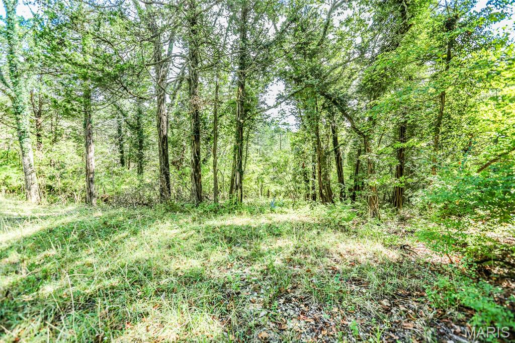 6302 Upper Byrnes Mill Road Byrnes Mill, MO 63051 - Photo 9 of 14