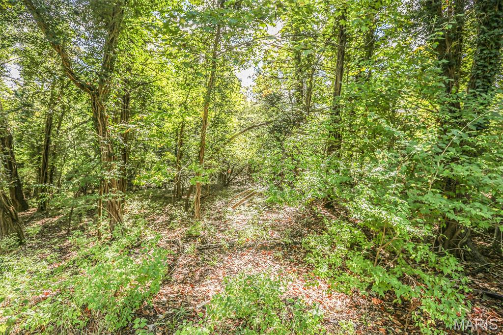 6302 Upper Byrnes Mill Road Byrnes Mill, MO 63051 - Photo 10 of 14