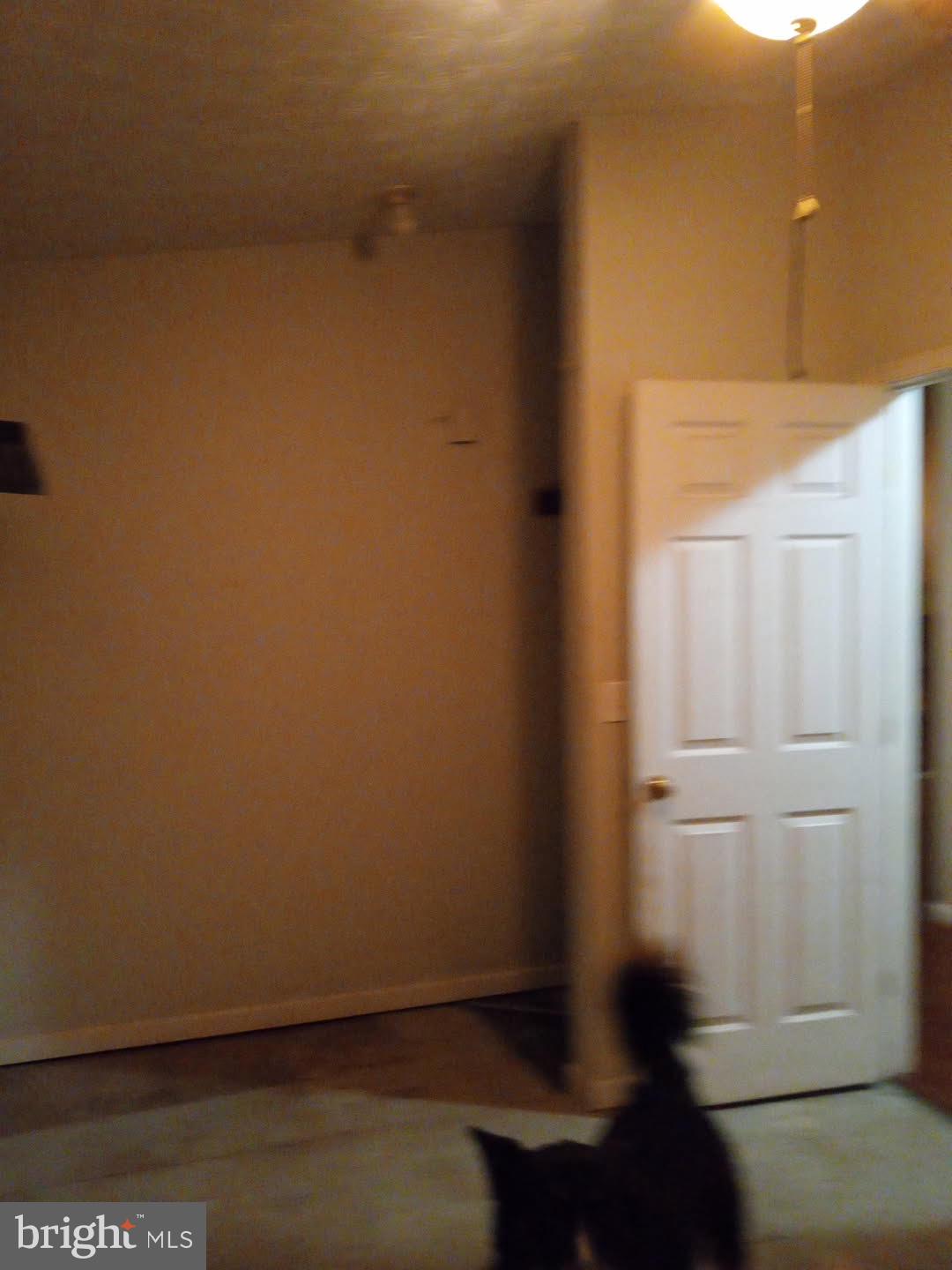 68 Mountain Road Augusta, WV 26704 - Photo 15 of 23 Gallery Image 15