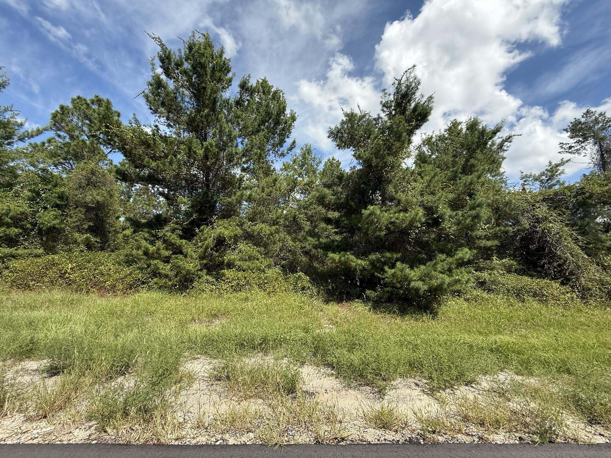 Tbd Southwest 177th Place Road Ocala, FL 34473 - Photo 2 of 5