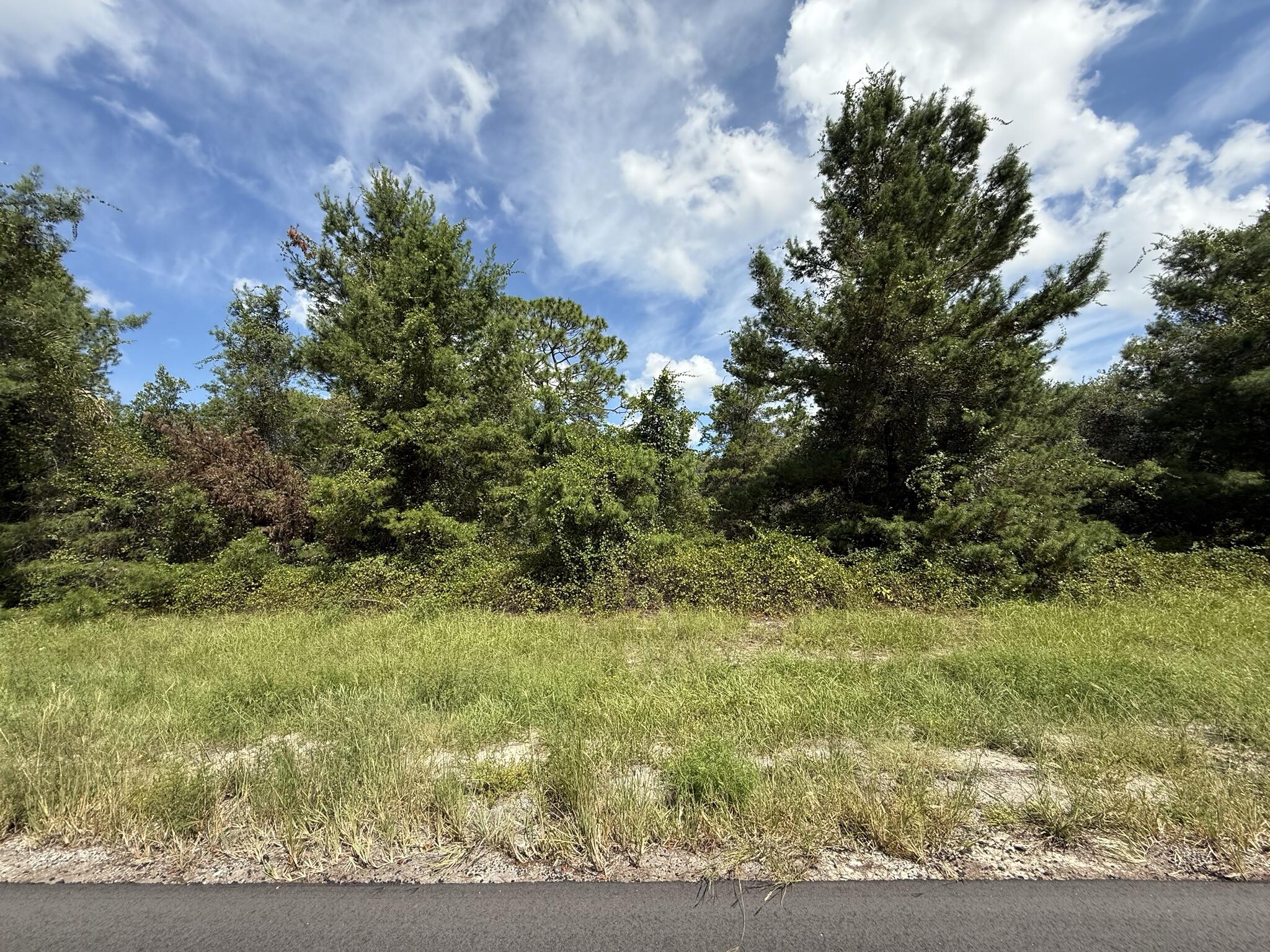Tbd Southwest 177th Place Road Ocala, FL 34473 - Photo 4 of 5 a view of a yard with plants and a bench